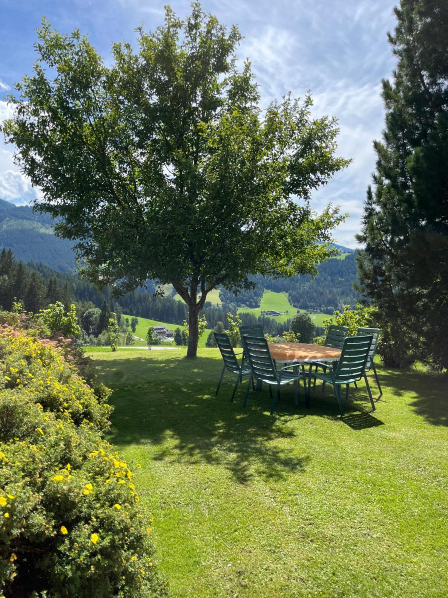 Hornergut Apartment Altenmarkt im Pongau Bagian luar foto