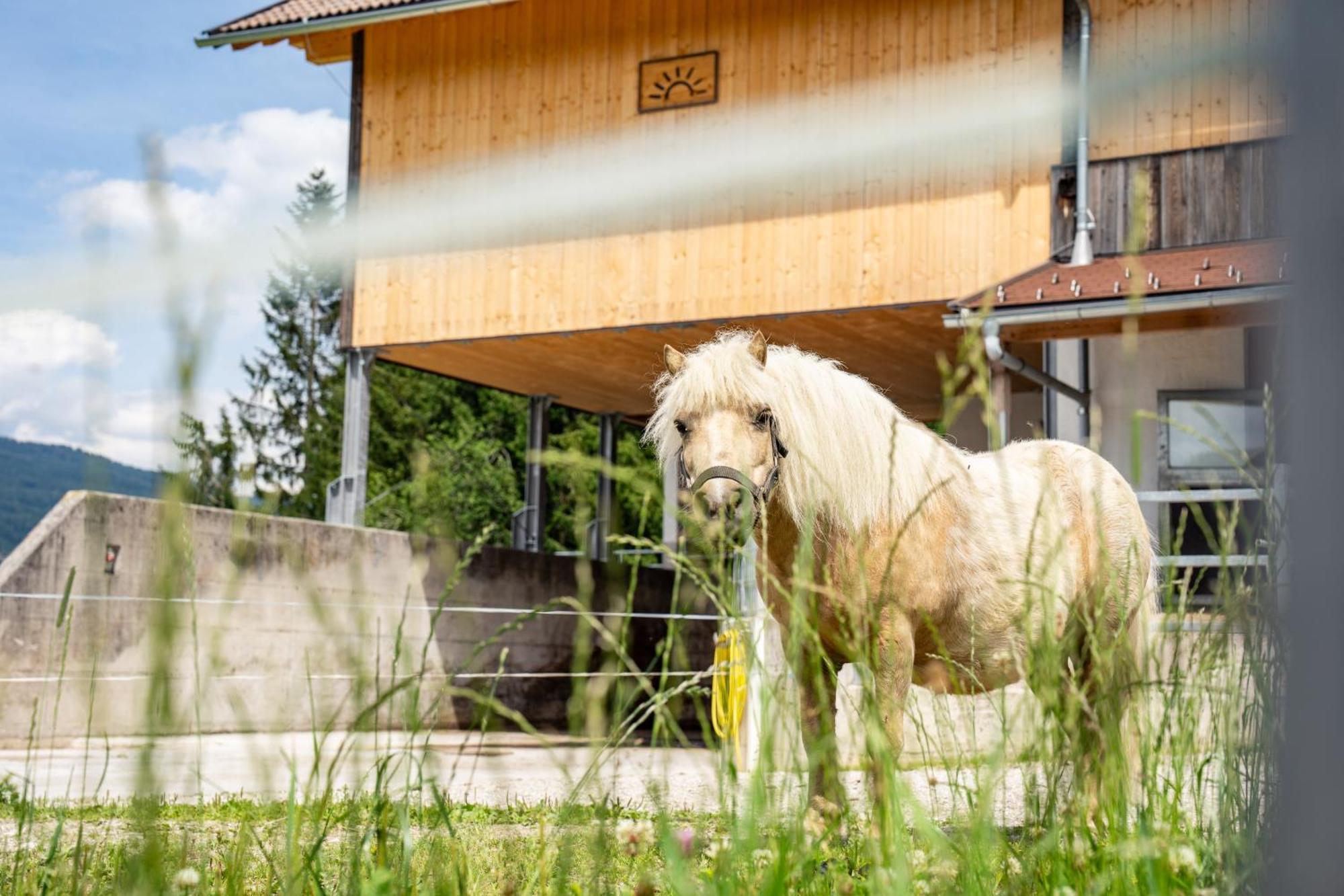 Hornergut Apartment Altenmarkt im Pongau Bagian luar foto