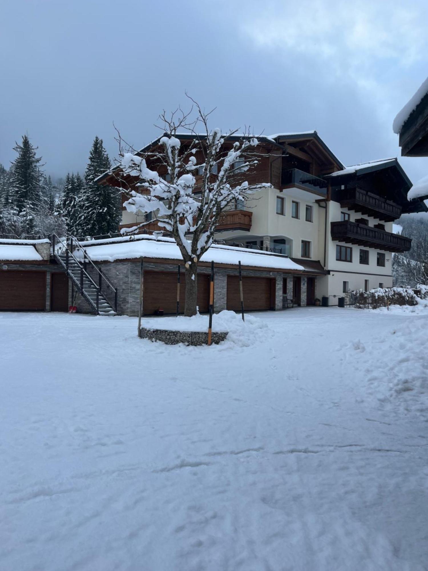 Hornergut Apartment Altenmarkt im Pongau Bagian luar foto